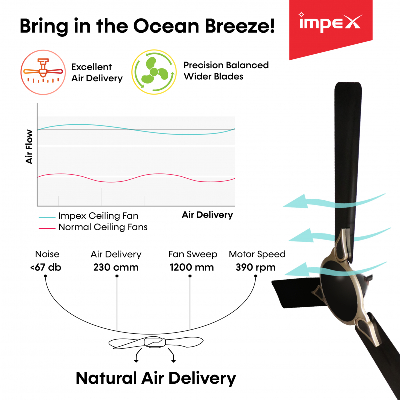 Aero Prime Pro | 3 Blade Ceiling Fan
