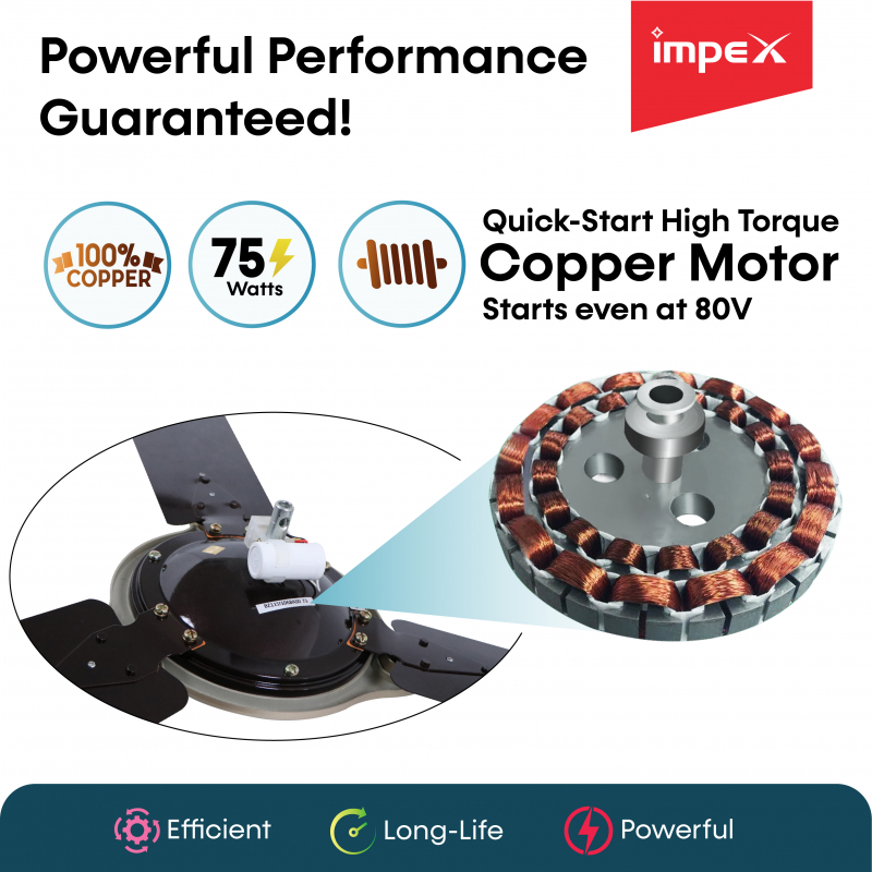Aero Prime Pro | 3 Blade Ceiling Fan