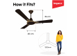 Aero Prime Pro | 3 Blade Ceiling Fan